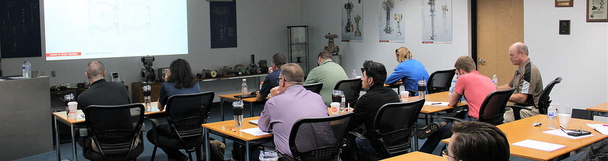 SAMSON Valve Training